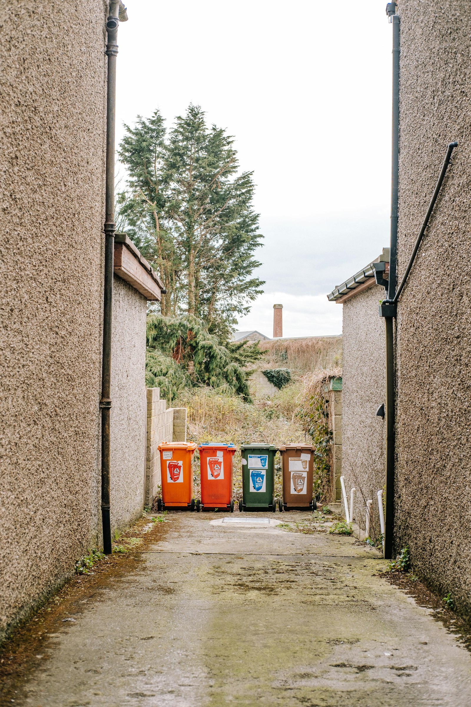 Contenedores de reciclaje en un espacio urbano.